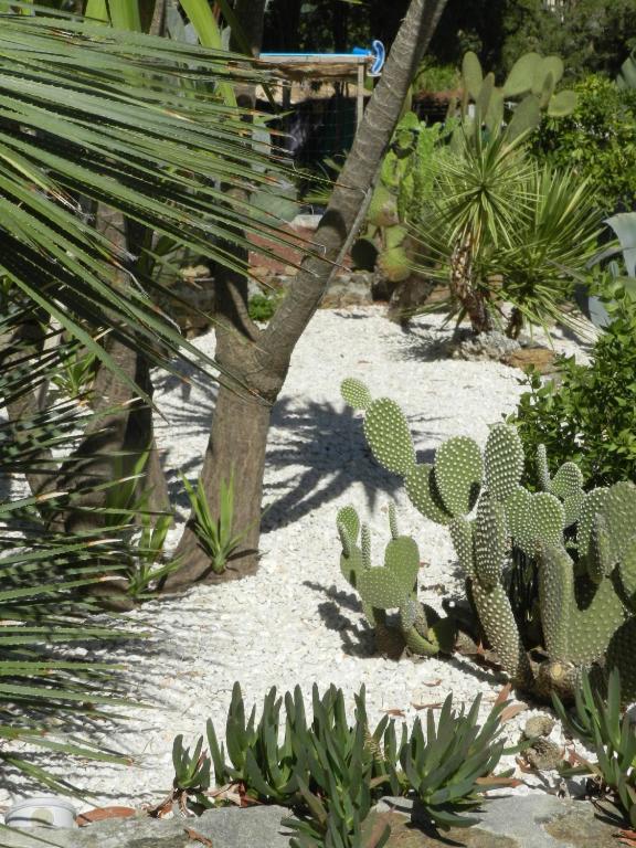 Hotel Paradis Bormes-les-Mimosas Eksteriør bilde